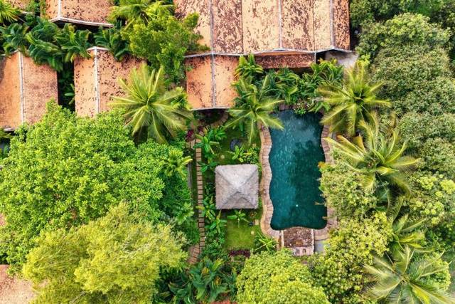 A villa pool hidden among palm trees, seen from above