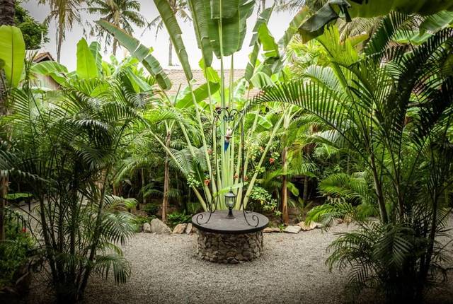 Garden at Vanna Lodge, photo 8 of 12