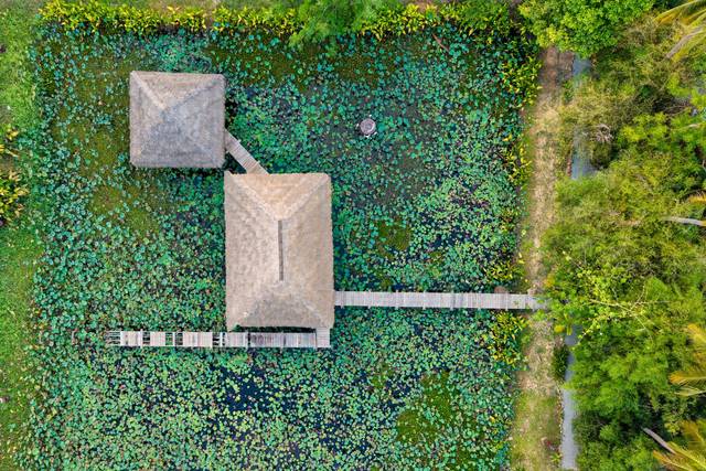 The lotus lake and its spa pavilions seen from above