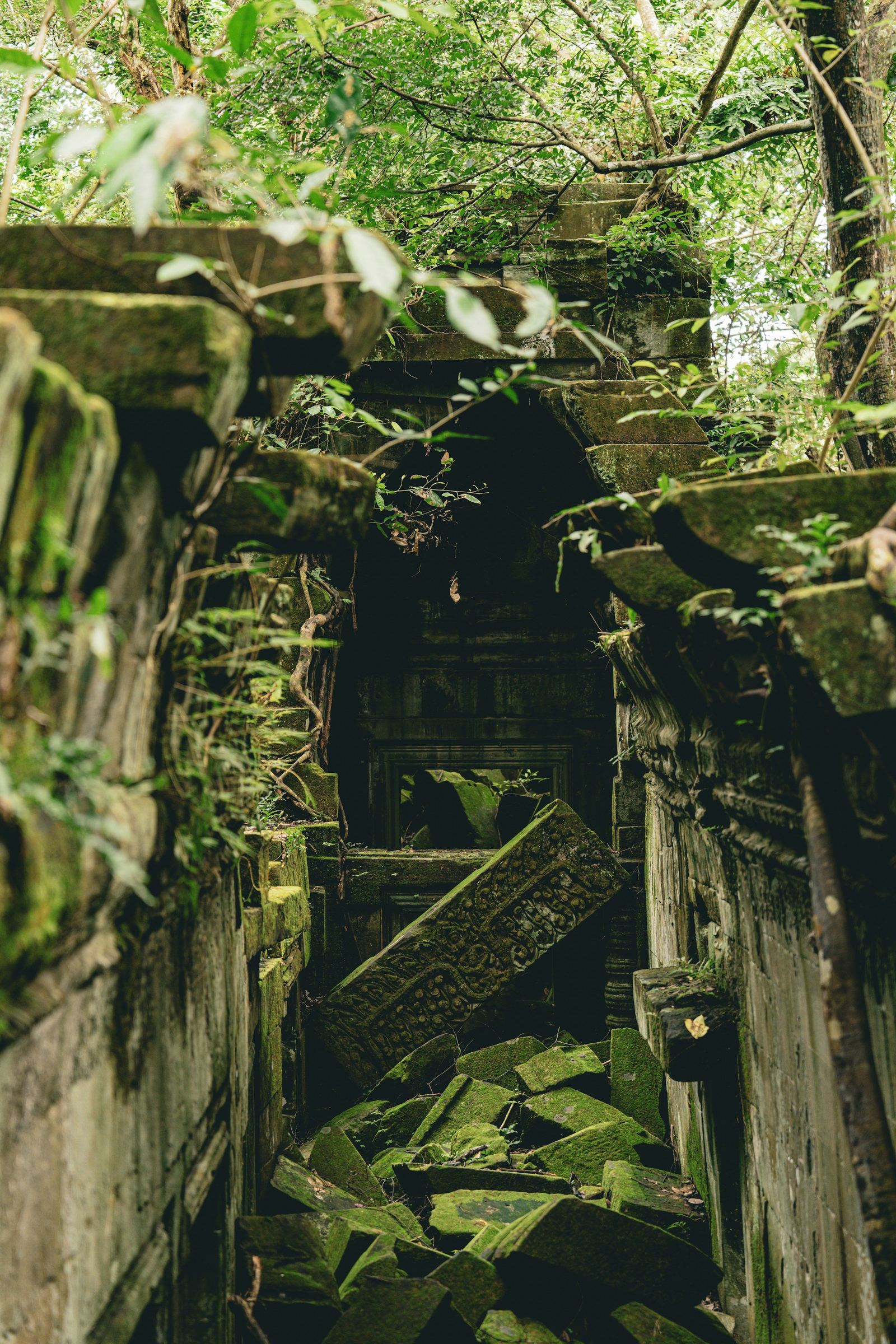 Beng Mealea, the temple in the jungle
