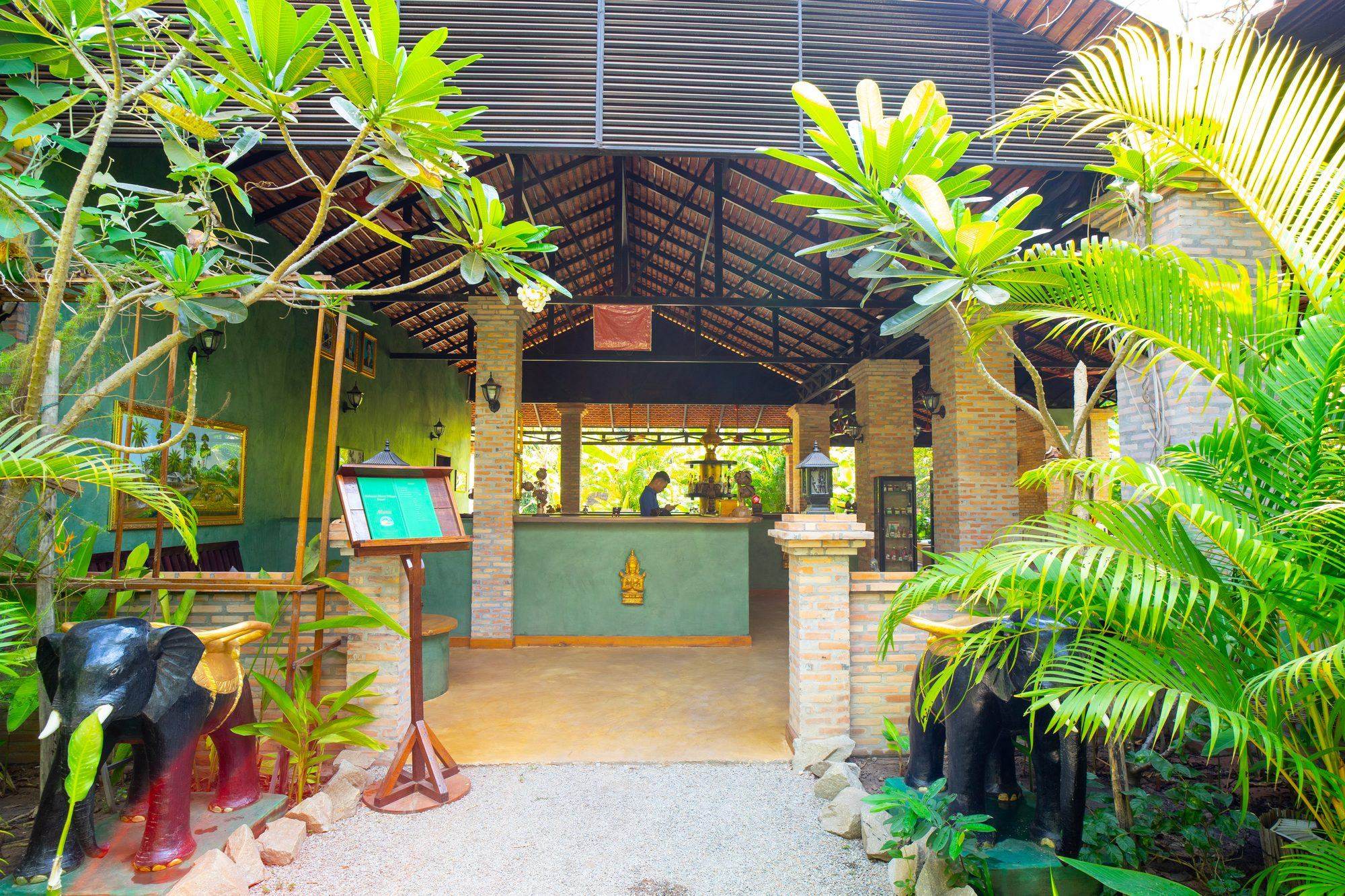 The entrance and reception among tropical plants
