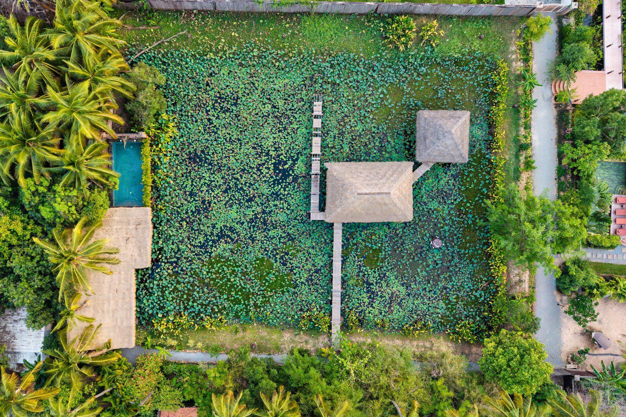 The lotus lake and its thatched spa pavilions seen from above
